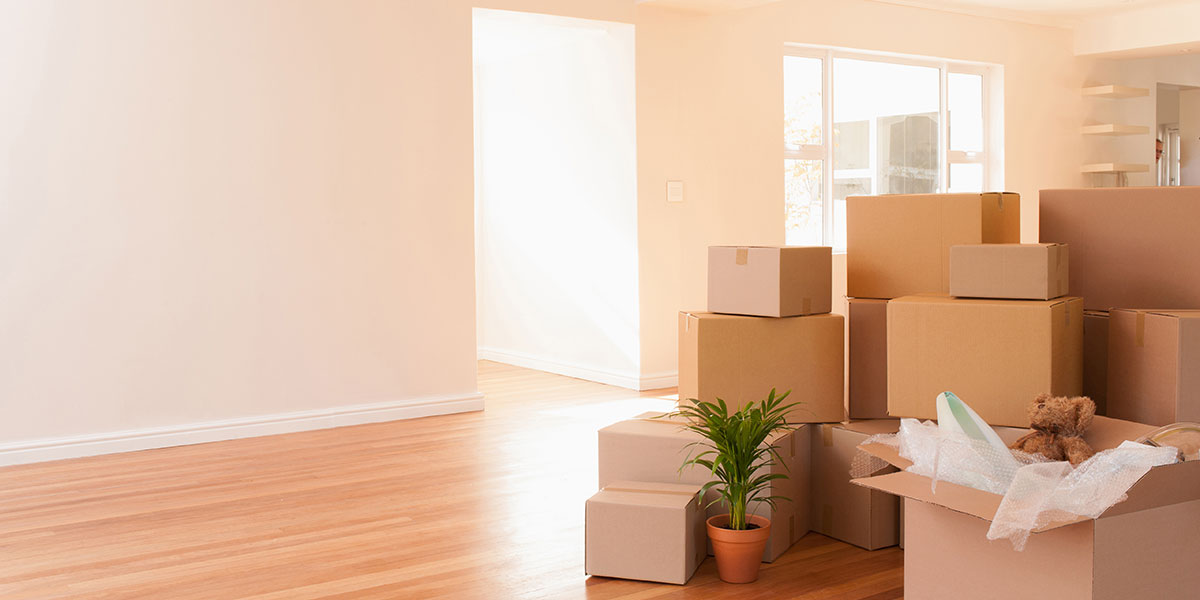 Hiring the best Canton, MA movers